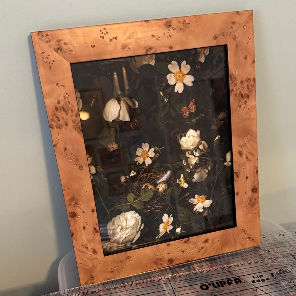 Floral Art Photography by Jamie Beck, Rose Day 14